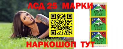шишки Нарткала