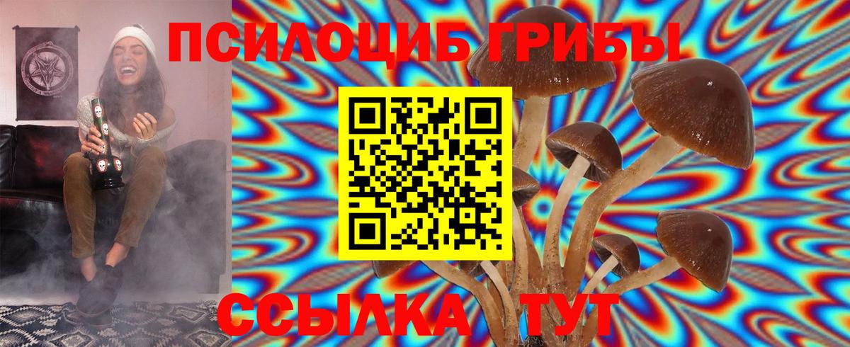 Галлюциногенные грибы Psilocybine cubensis Дагестанские Огни